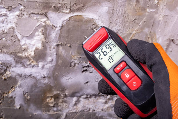 Best Local Mold Removal Service  in Cary, NC