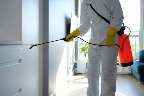 Best Mold Damage Repair  in Cary, NC