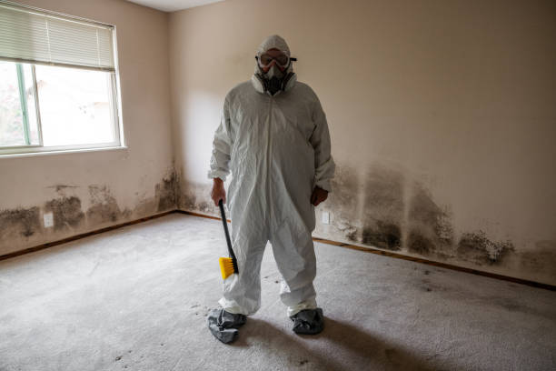 Professional Mold Removal in Cary, NC